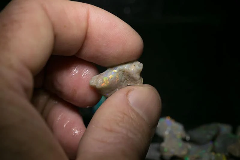 55 ct  16pc rough opal parcel for intermediate cutters - Image 16