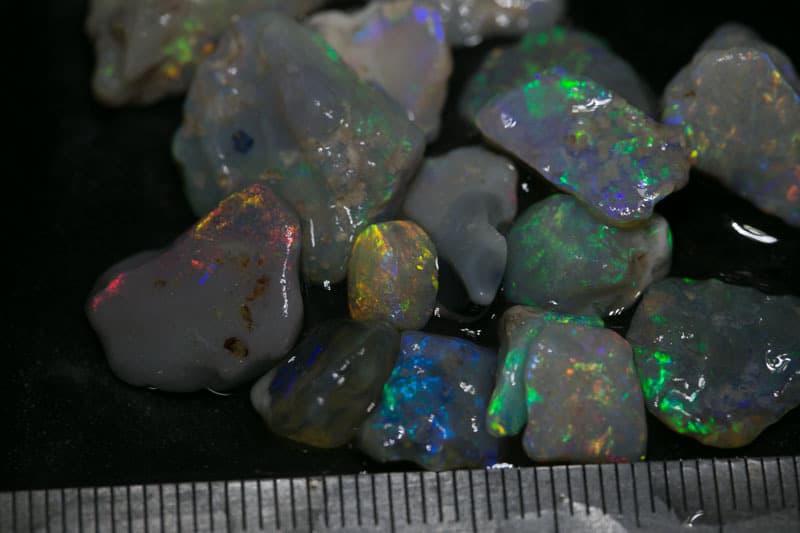 55 ct  16pc rough opal parcel for intermediate cutters - Image 2