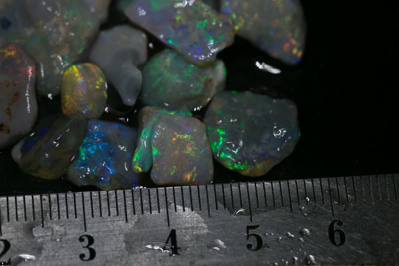 55 ct  16pc rough opal parcel for intermediate cutters - Image 3