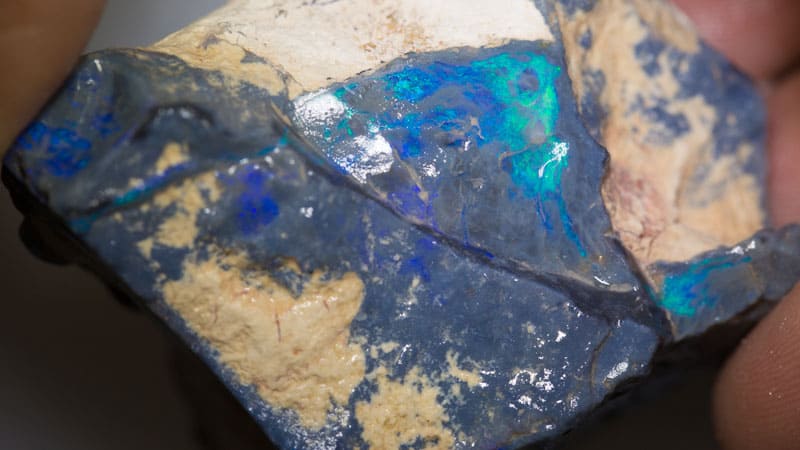 550 ct rough opal piece 61mm across - Image 3