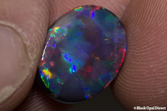6.03 ct gem black opal 16x13x4mm - Image 2