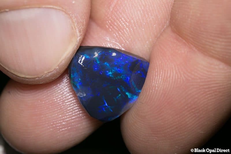 6.07 ct black opal rubbed piece 15mm across - Image 2