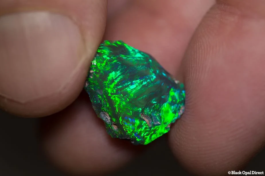 6.23 ct polished rough gem black opal 16x13x7.5mm - Image 2