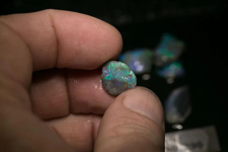 66 ct rough opal parcel 7 pc for the Intermediate opal cutter - Image 3