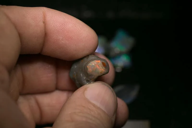 66 ct rough opal parcel 7 pc for the Intermediate opal cutter - Image 5