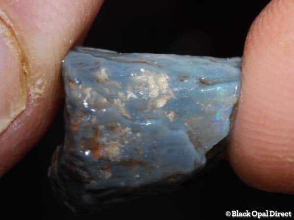 7.1ct fossil opalised bone - Image 3