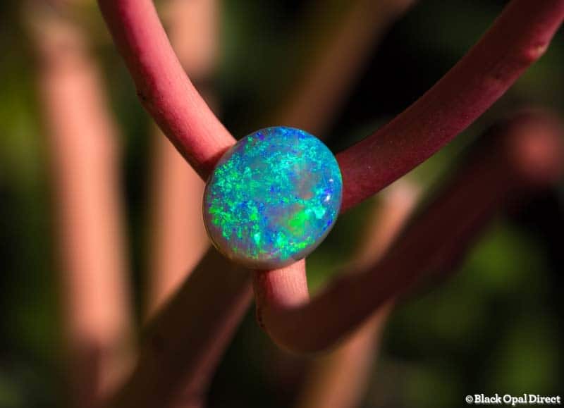 7.71 ct crystal opal 14x12x6.5mm - Image 2