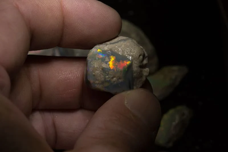729 ct rough opal parcel 16 pieces - Image 3