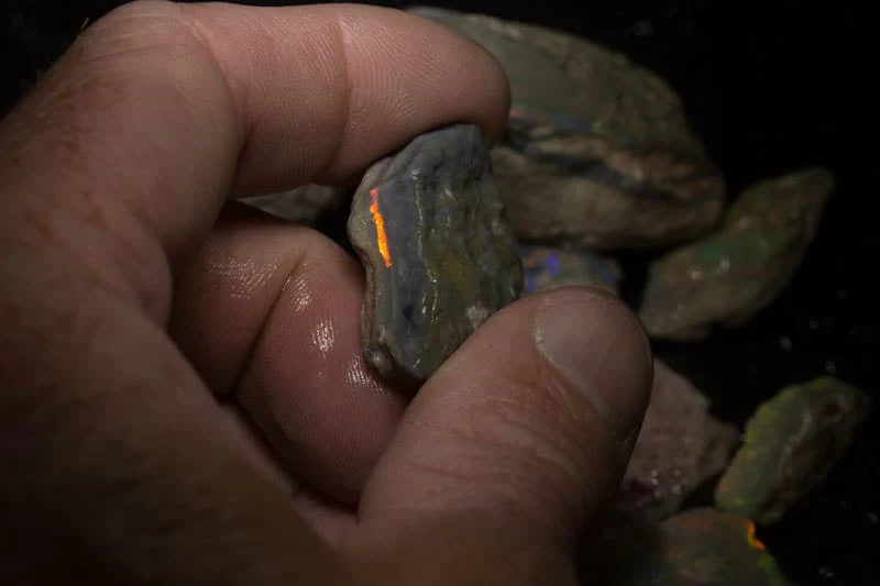 729 ct rough opal parcel 16 pieces - Image 4
