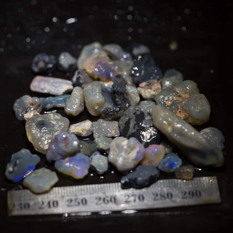 75ct Beginners Rough Opal with Video Tutorials - Image 5