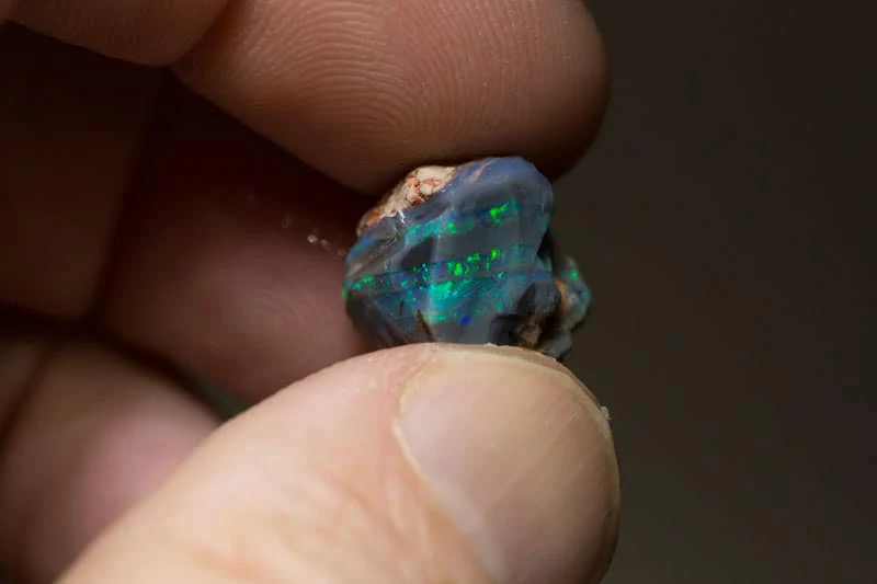 76 ct rough opal parcel 8 pieces untouched - Image 3