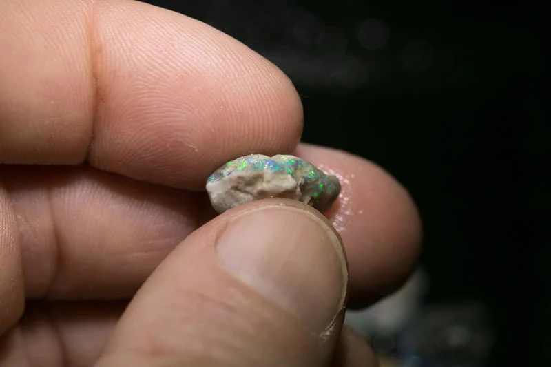 77 ct rough opal parcel for intermediate cutters - Image 3