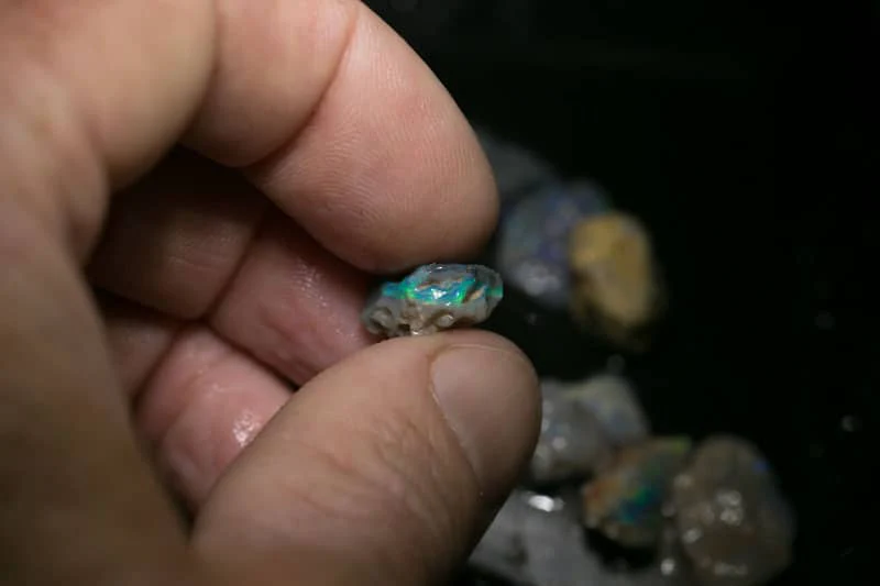 85 ct  17pc rough opal parcel for intermediate cutters - Image 6