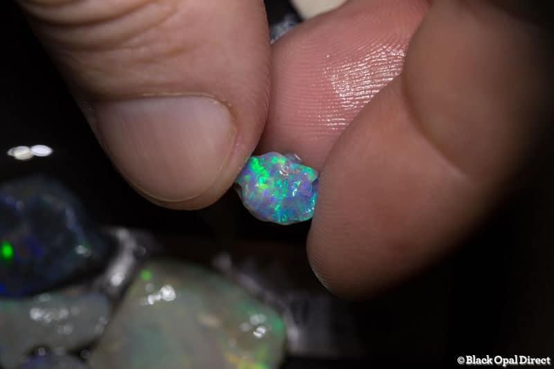 97 ct rough opal parcel for beginners - Image 5