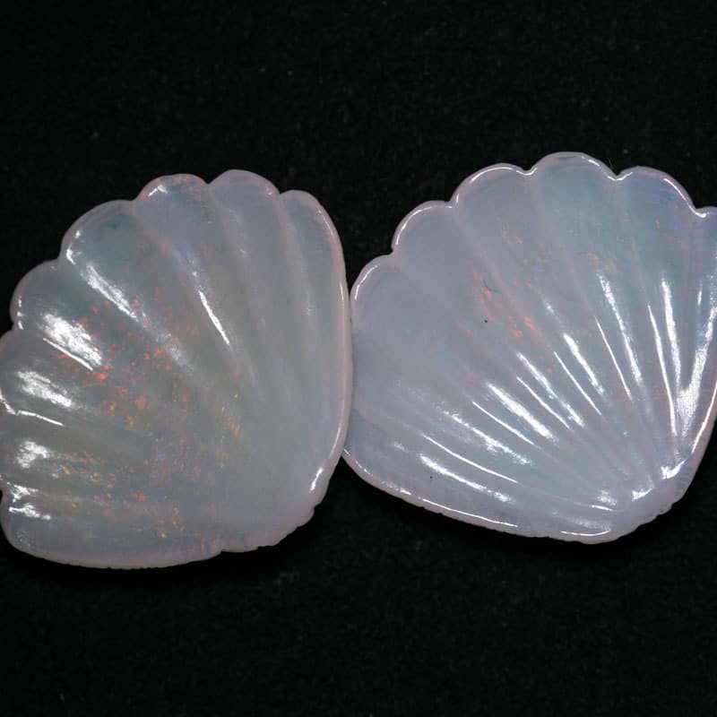 Shell Carving Pair 18.65ct - Image 2