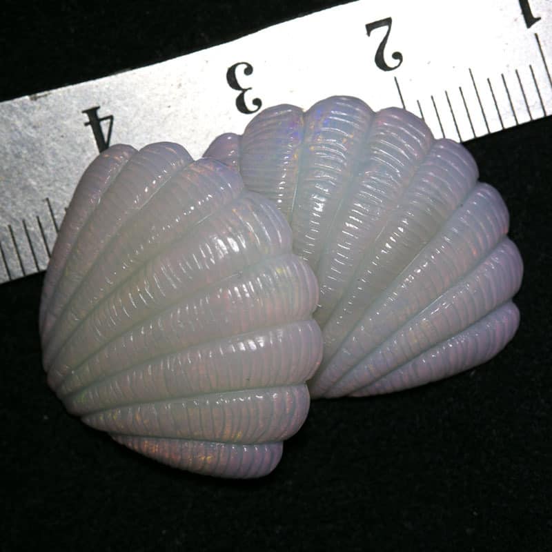 Shell Carving Pair 18.65ct - Image 3